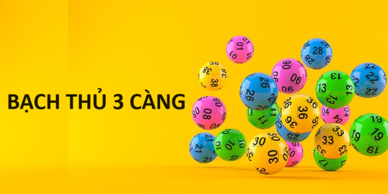 Bạch Thủ 3 Càng